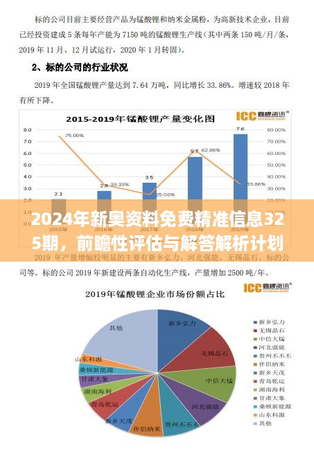 新澳2024年正版資料,實地計劃設計驗證_Plus65.210