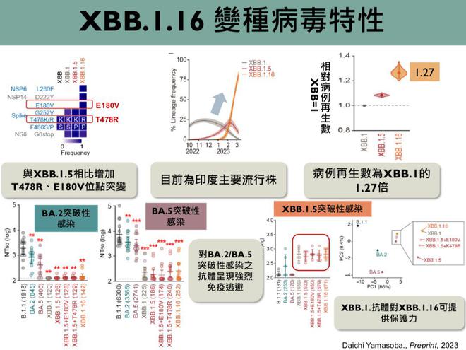 香港黃大仙綜合資料大全,系統(tǒng)研究解釋定義_限量款55.288