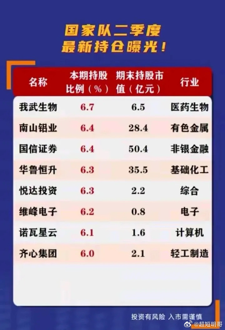 國家隊最新持倉,國家隊最新持倉，洞悉國家資本動向與策略調(diào)整