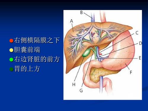 乙肝治療新技術(shù)突破，最新治療乙肝技術(shù)的希望與進(jìn)展