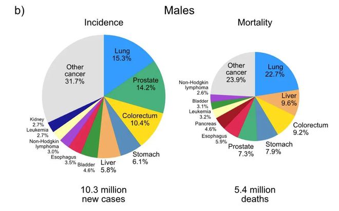肺癌發(fā)病率最新統(tǒng)計圖及其深度影響分析