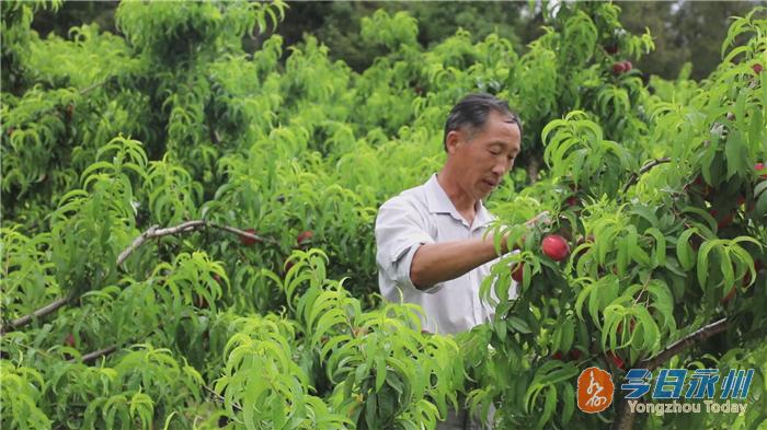 道縣衛(wèi)生健康局領導團隊全新亮相，未來工作展望與領導團隊介紹