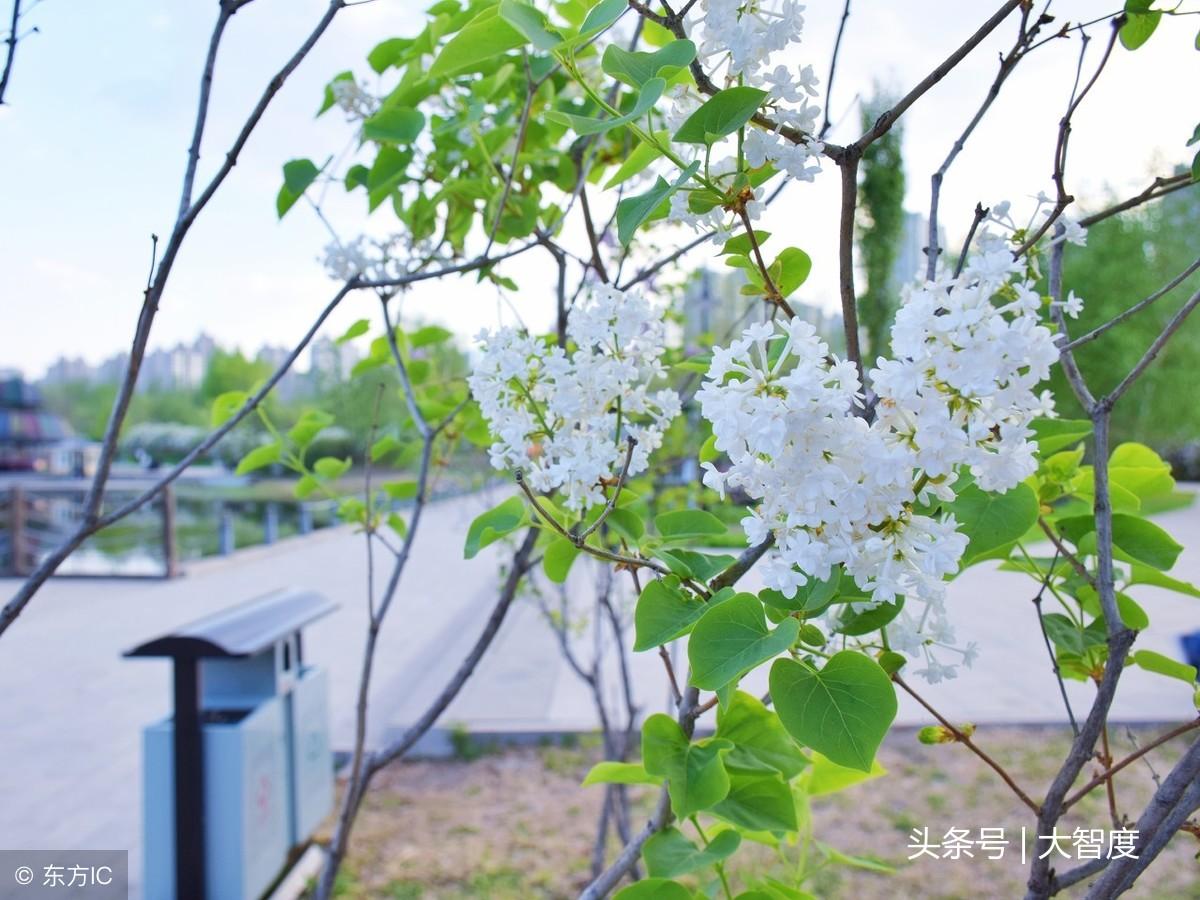 落花網(wǎng)，最新電影電視劇觀看的優(yōu)質(zhì)平臺