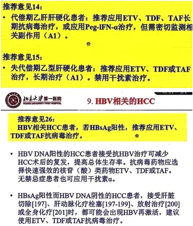 最新肝病指南，理解、預(yù)防與管理肝病的關(guān)鍵之道