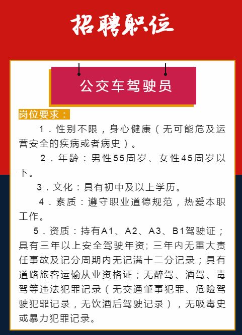 墊江最新駕駛員招聘信息及其解讀速遞