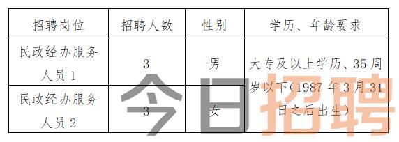 景縣數(shù)據(jù)和政務(wù)服務(wù)局最新招聘信息全解析