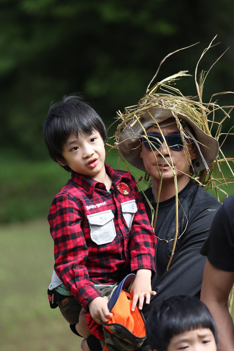 最新一季爸爸去哪兒，深度探索家庭親子之旅的奇妙旅程