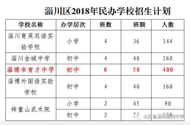 淄川區(qū)小學最新發(fā)展規(guī)劃揭秘，未來教育新動向