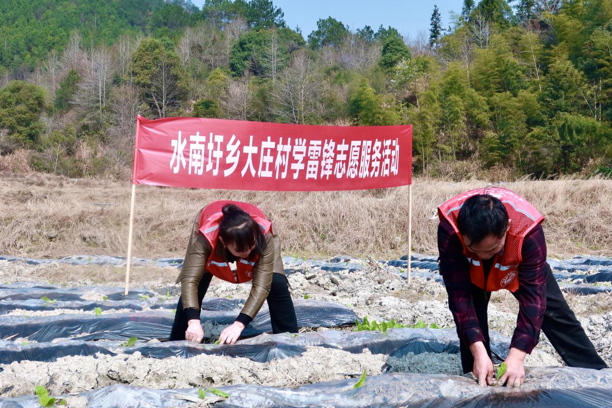 水南圩鄉(xiāng)最新項目引領鄉(xiāng)村發(fā)展新征程